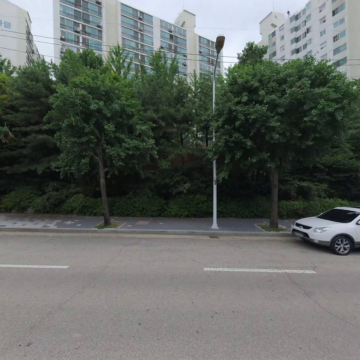 고루니크_3