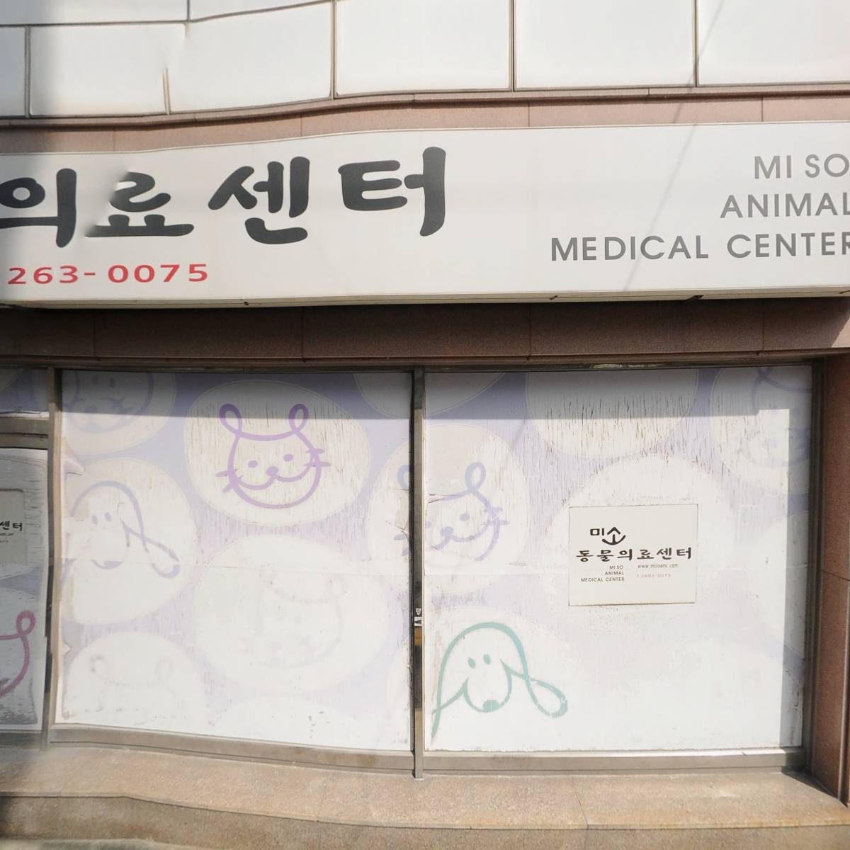 애니캣미술학원