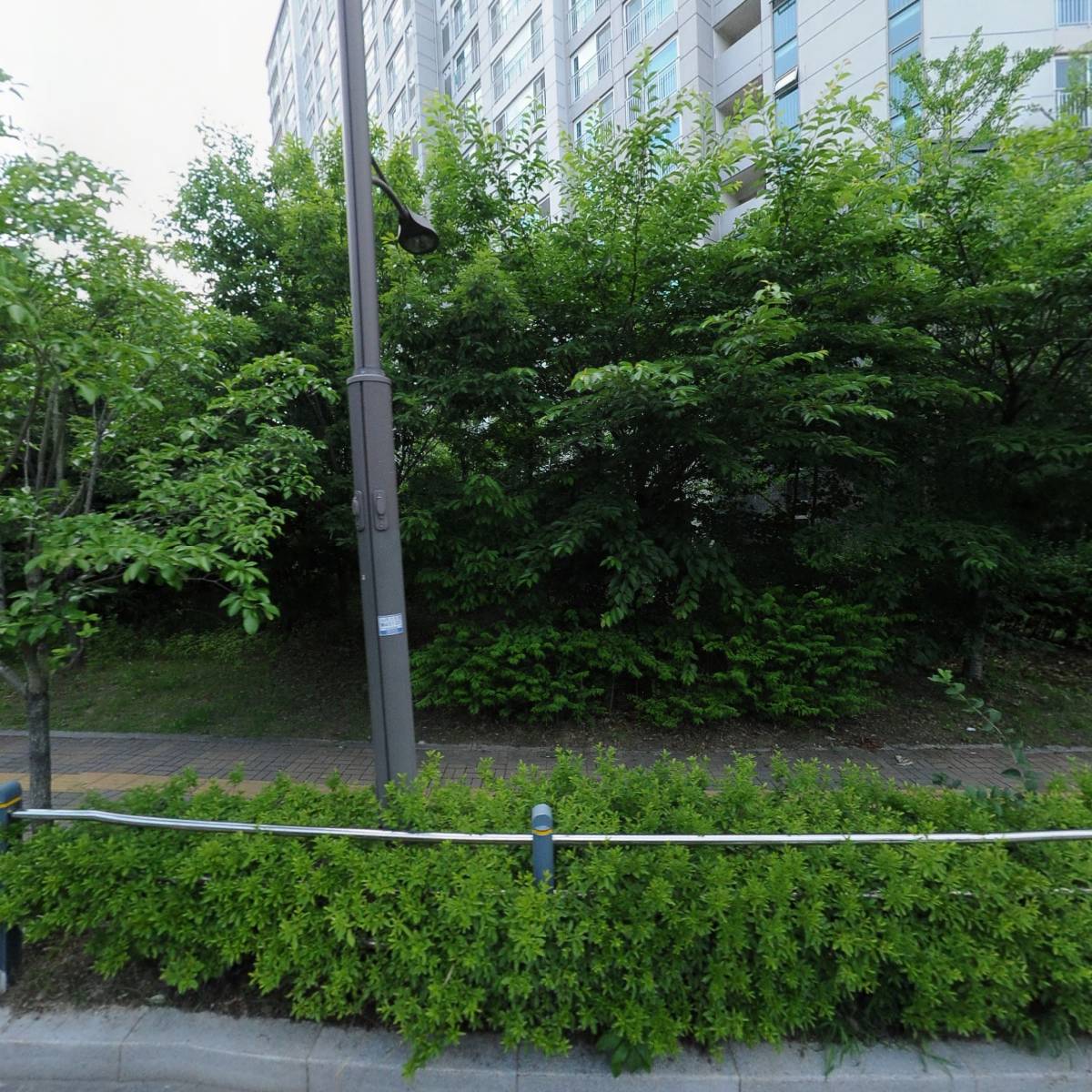 쮸쮸(KCC점)