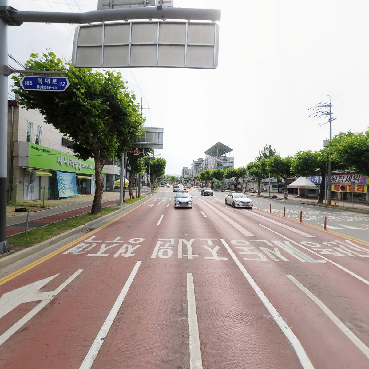 새빛약국_2