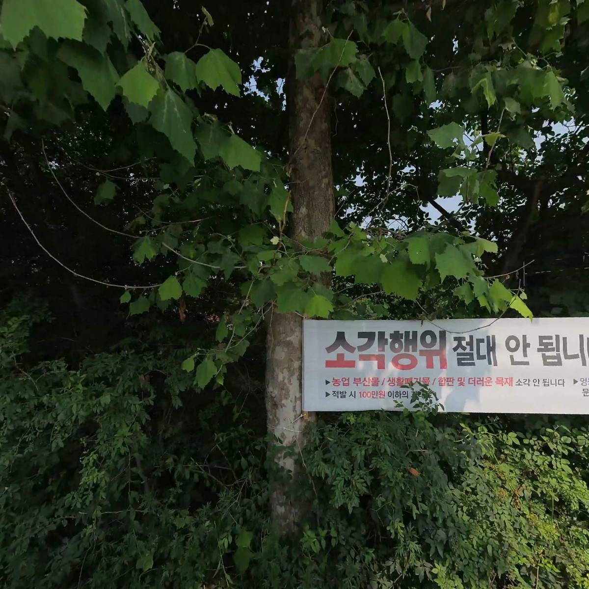 (주)성강미디어