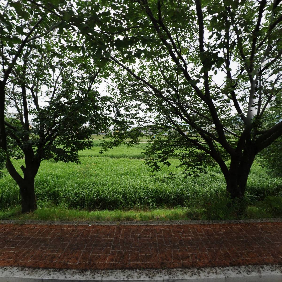 충청북도개인용달화물자동차운송사업협회청주시지부