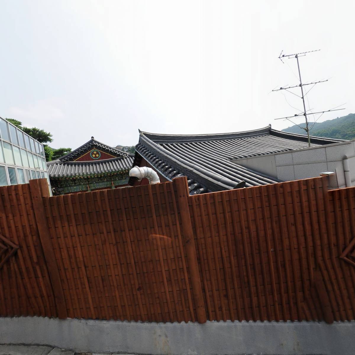 원각사_3