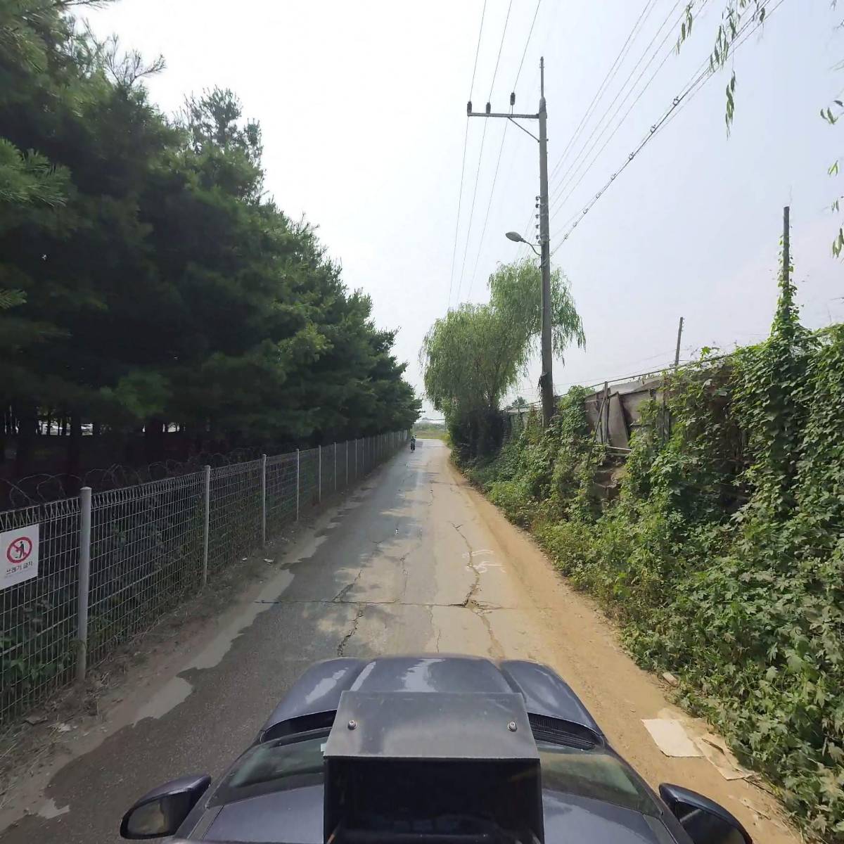 황금날개_4