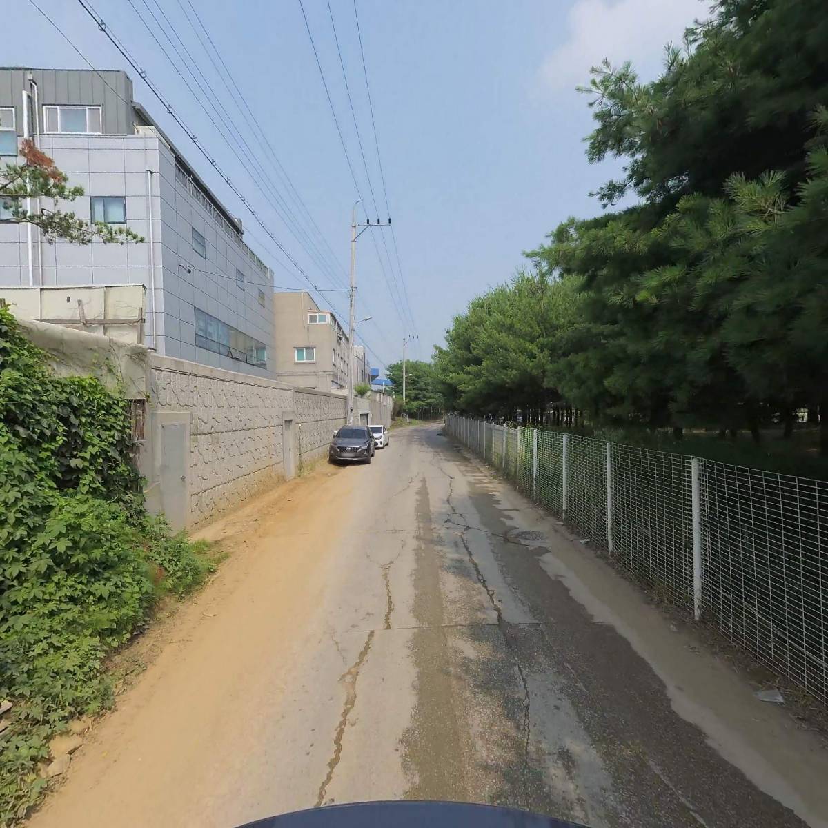 황금날개_2