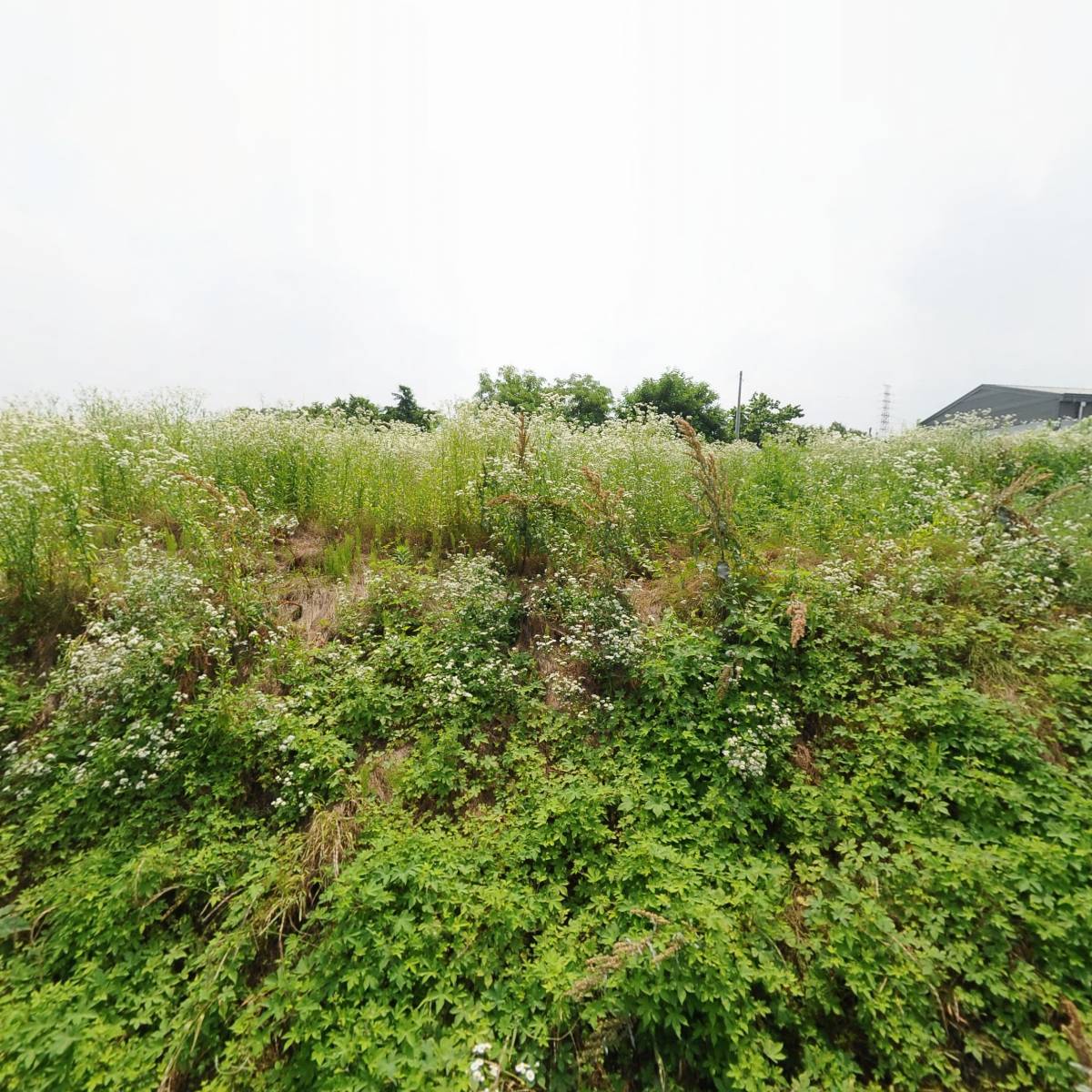 경양테크(주)