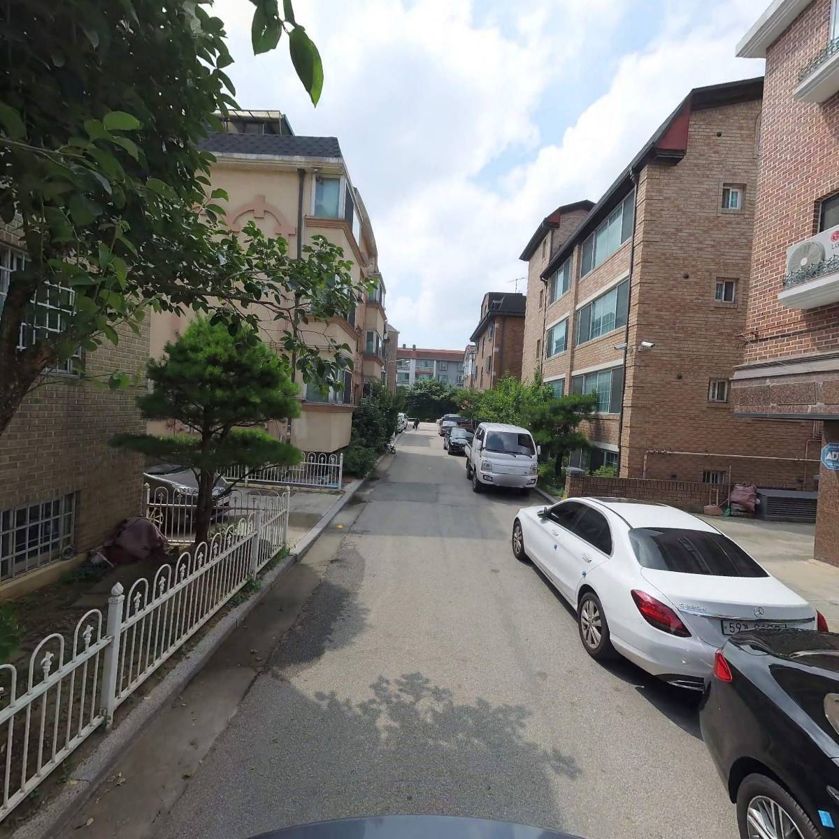 젠틀램_2