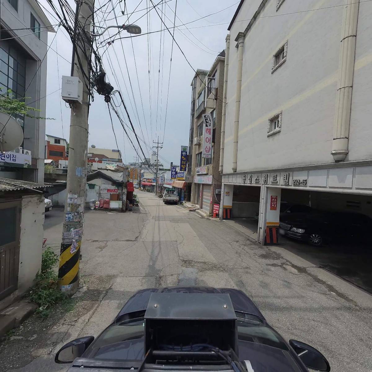 보르보니꼬_4