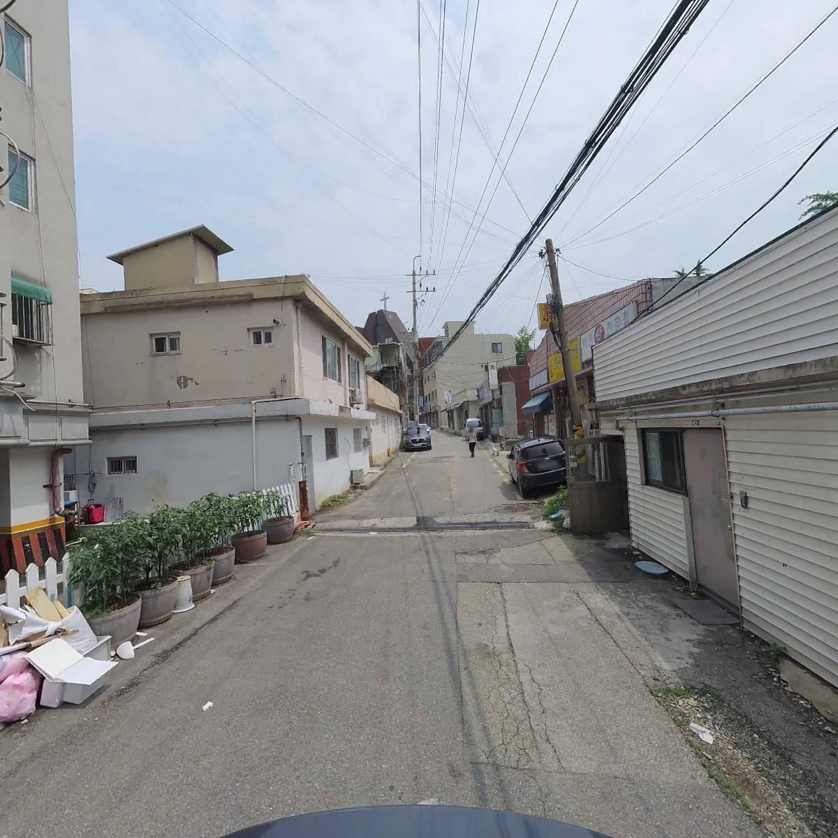 보르보니꼬_2