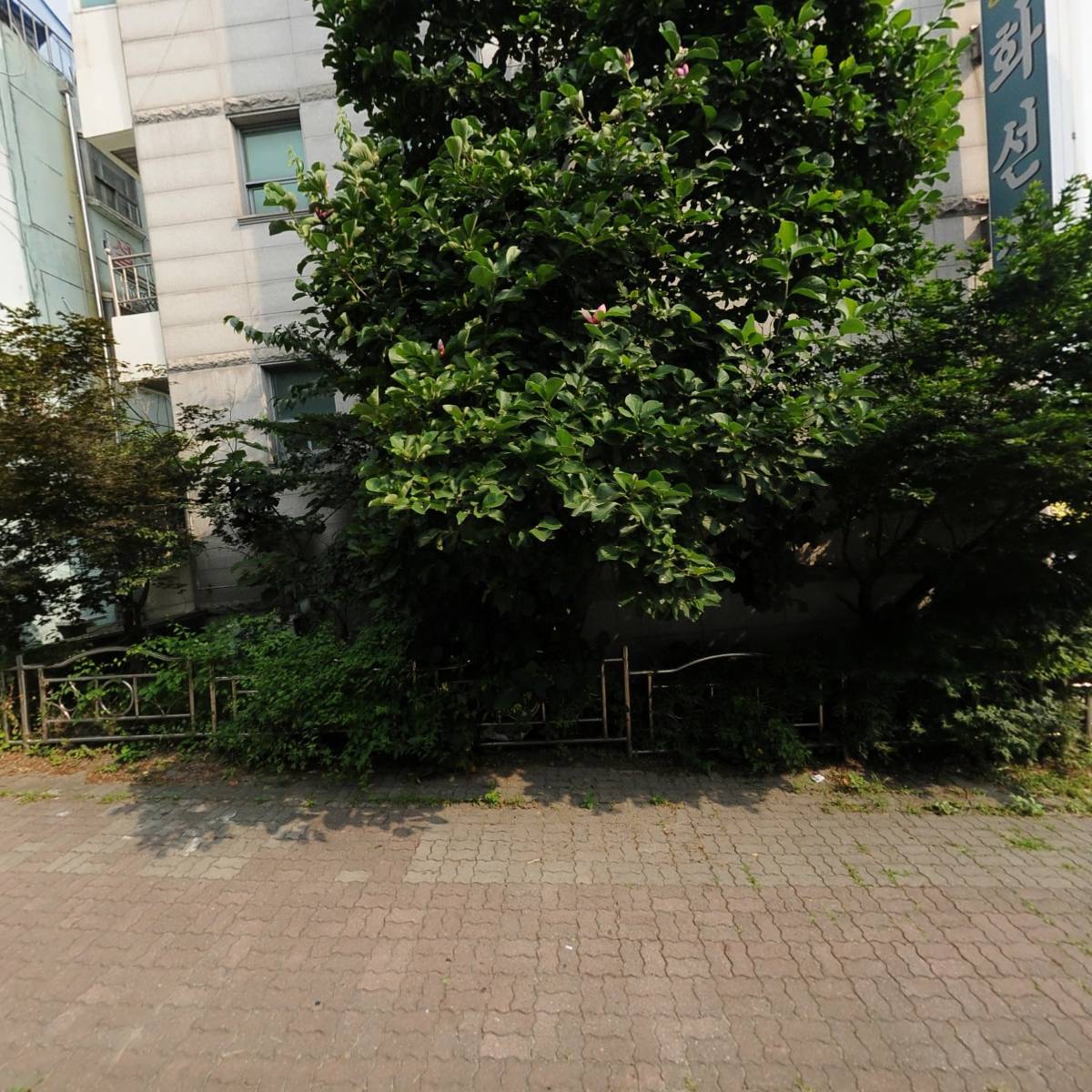 화선집