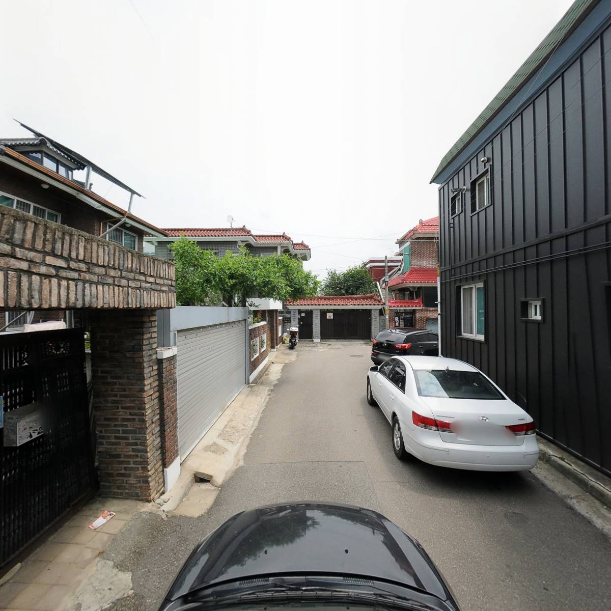 조대표생삽겹_4