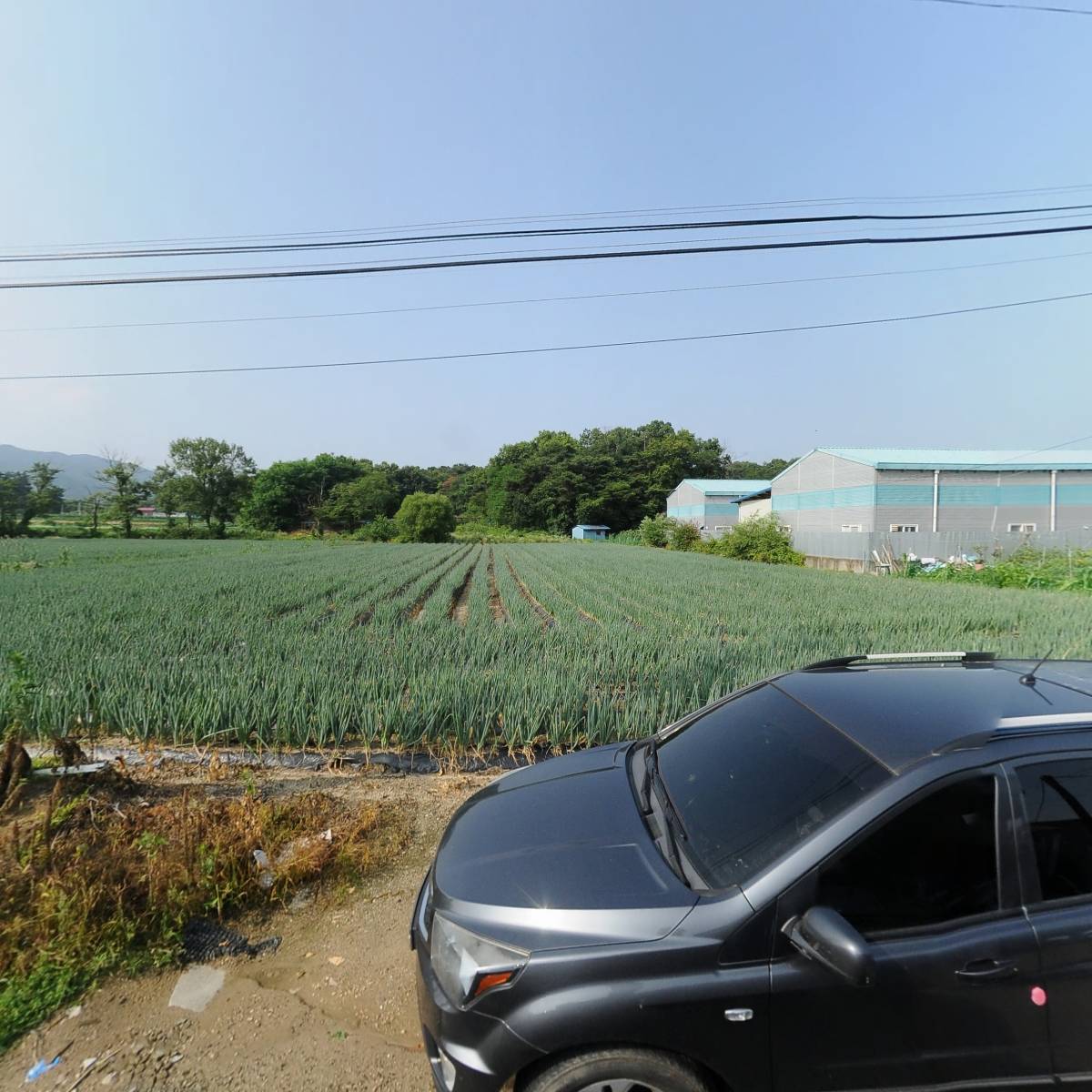 (주)태영에프앤아이