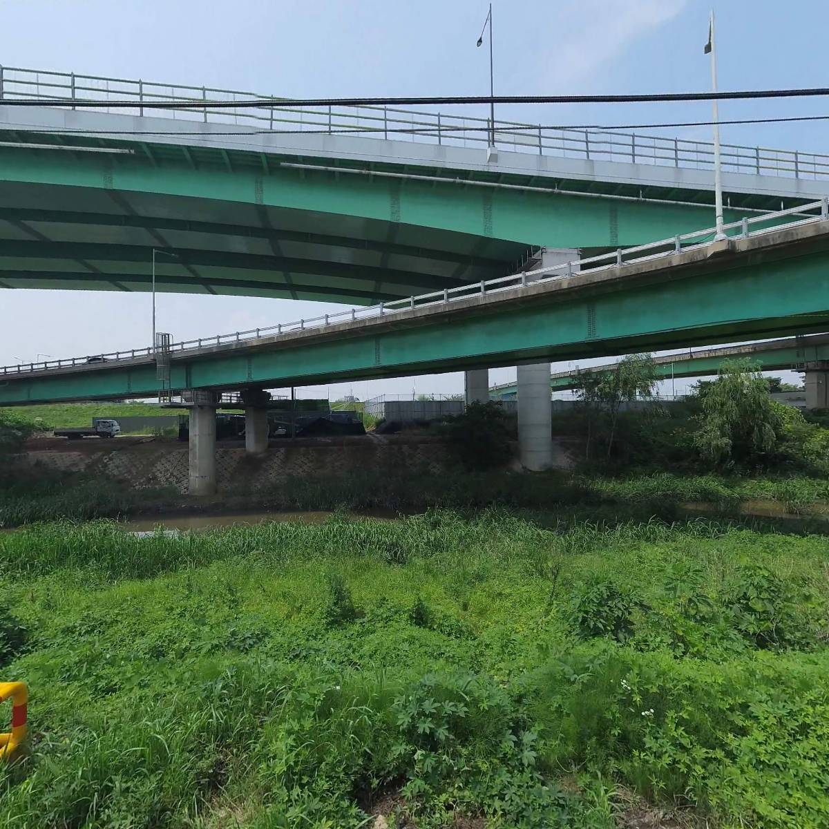 장항레이져