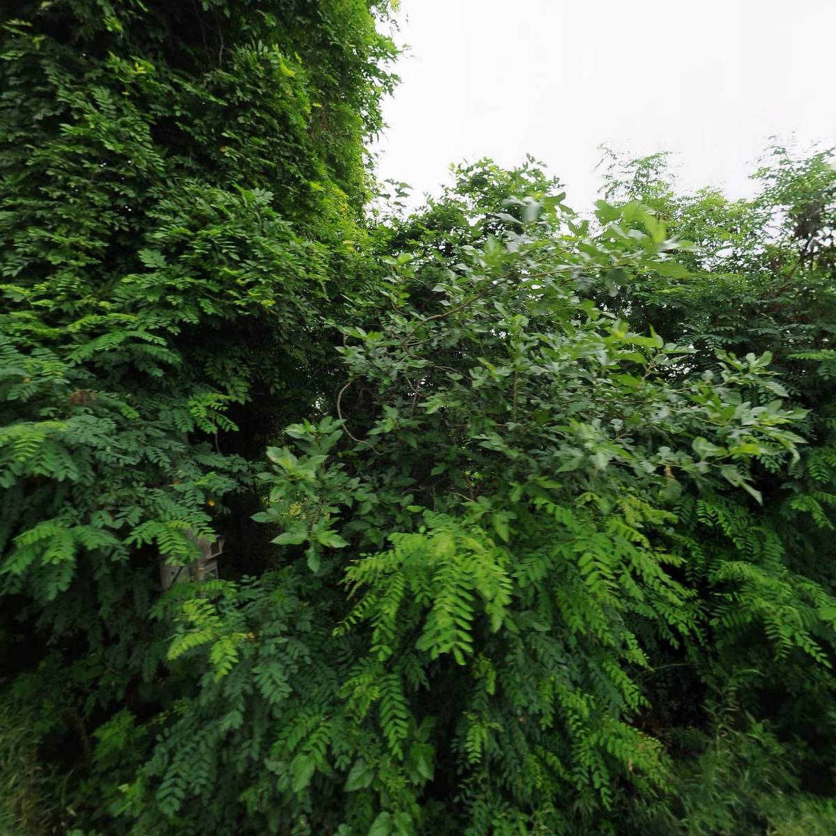 주식회사 신진_3