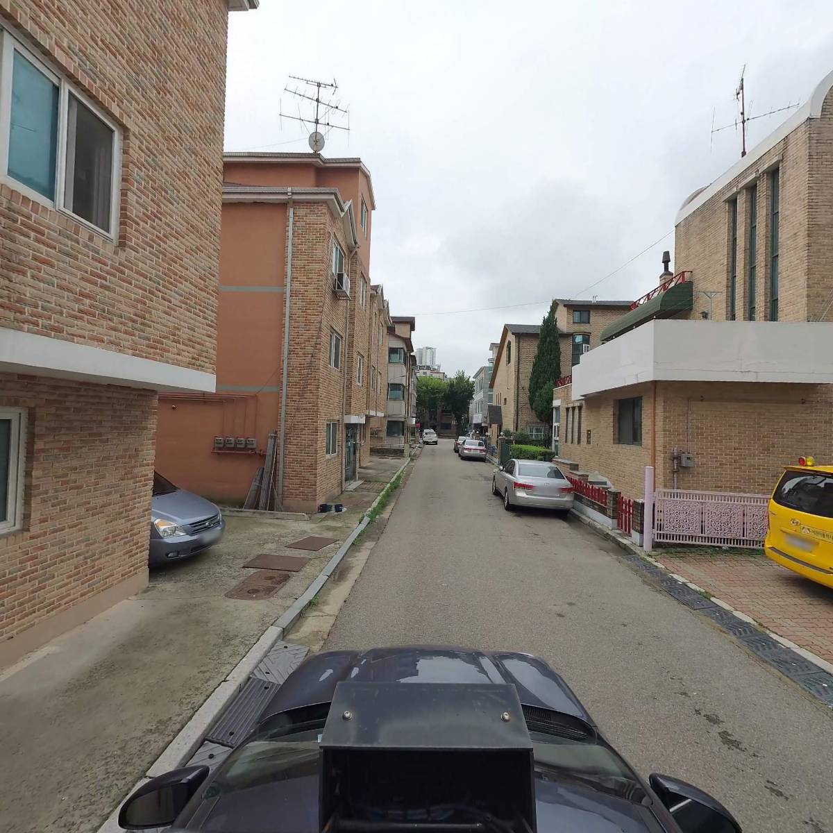 제노-The gallery_4