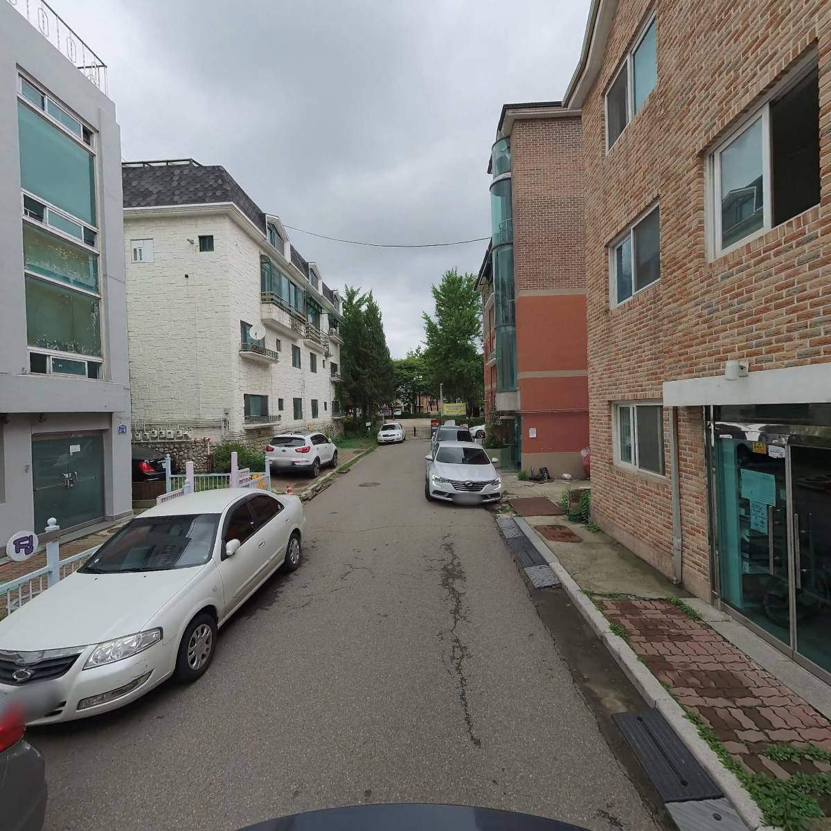 제노-The gallery_2