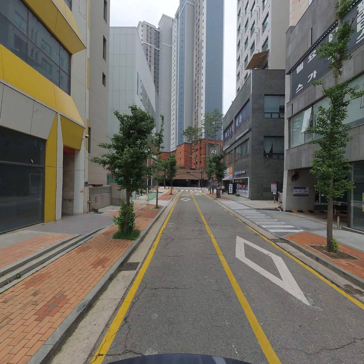 꽈배기진_2