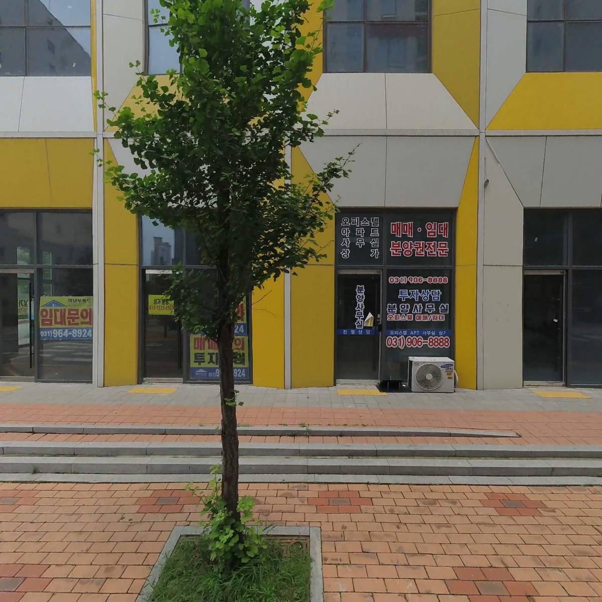 꽈배기진