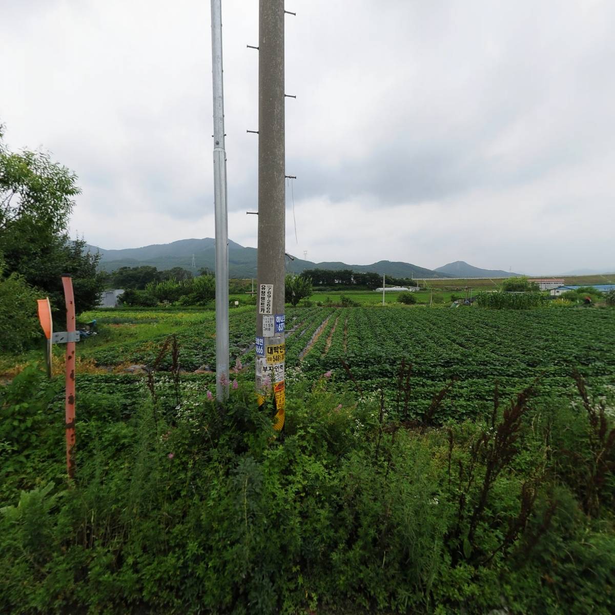 대한푸드텍(주)