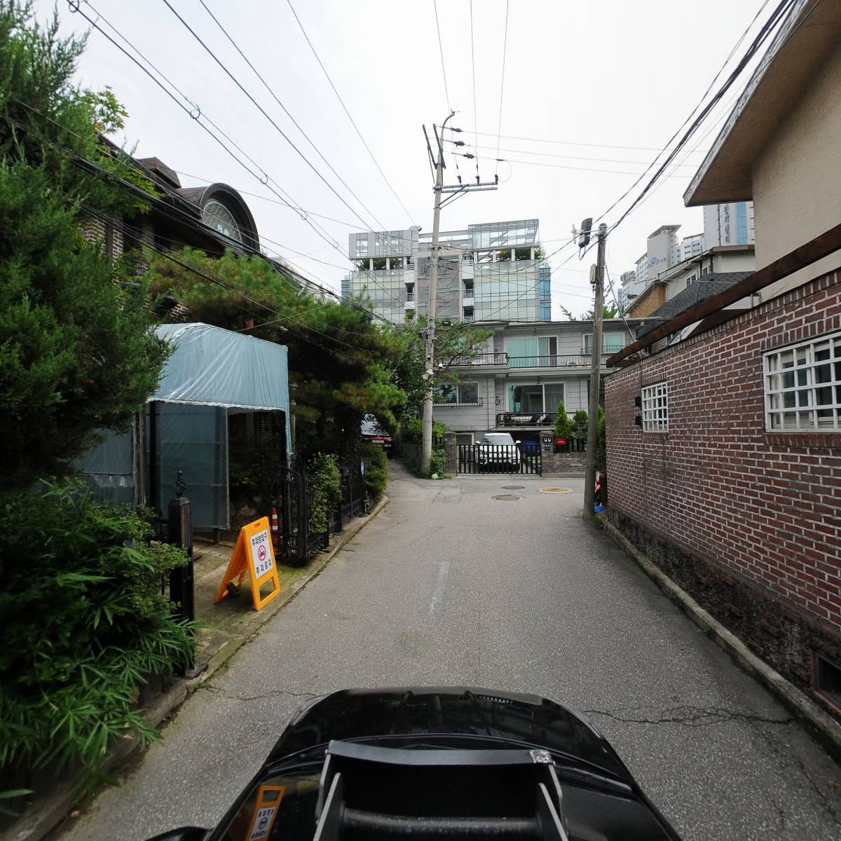 트리코_4