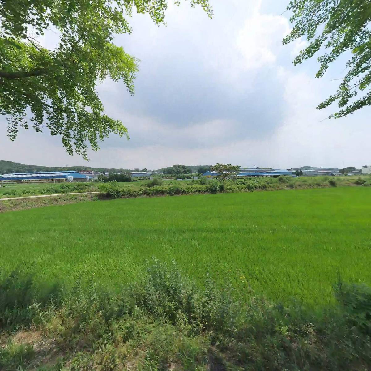 주식회사 도원인터내셔널