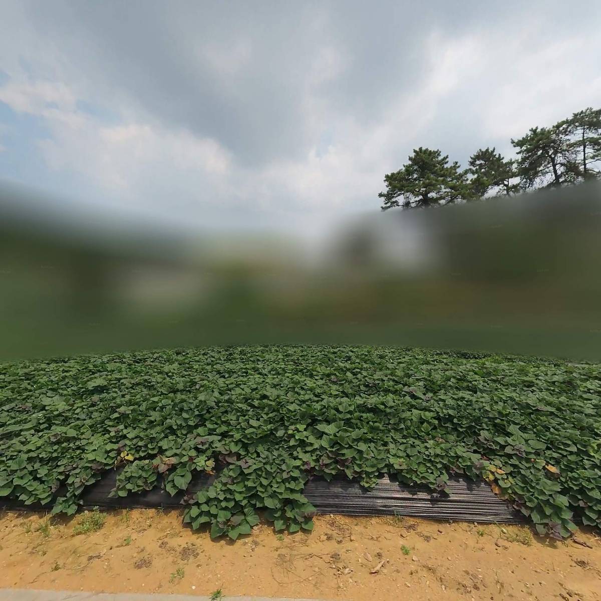 주식회사 용암고력금속