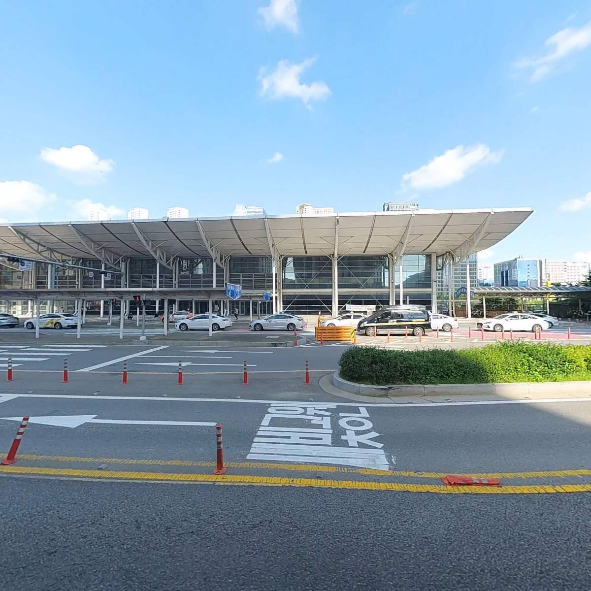 오스트리치안경_3