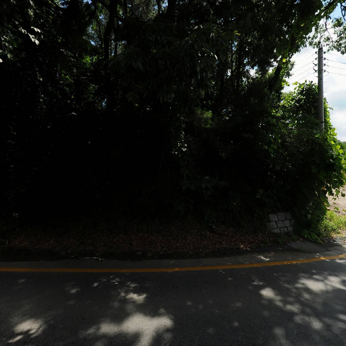 블루힐(blue hill)_3