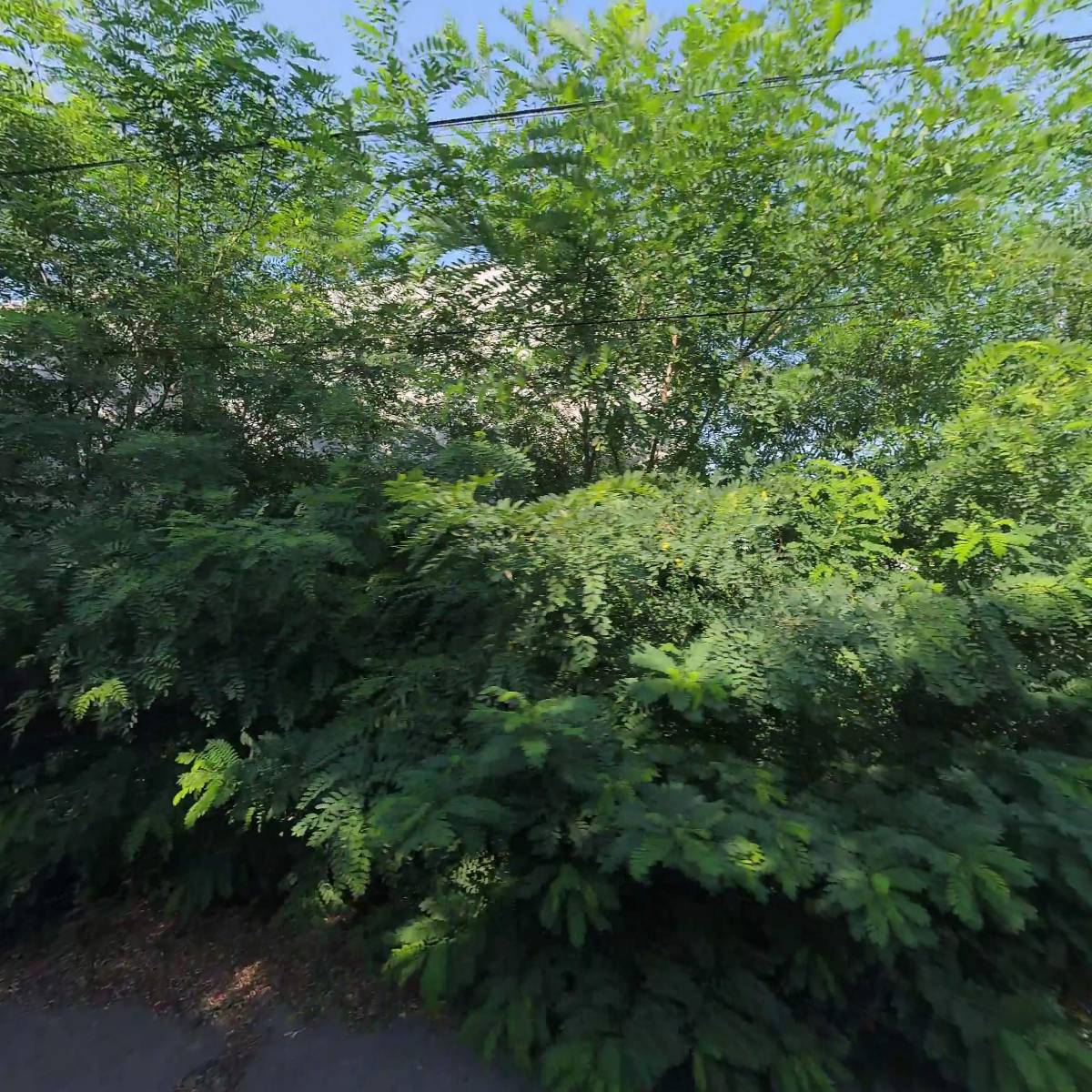 써니주방