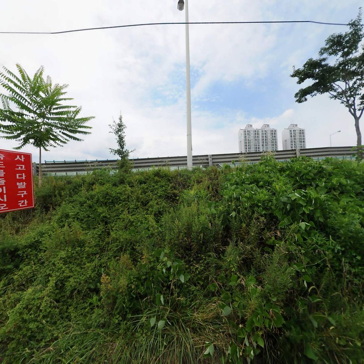 이아(I.A)컴퍼니