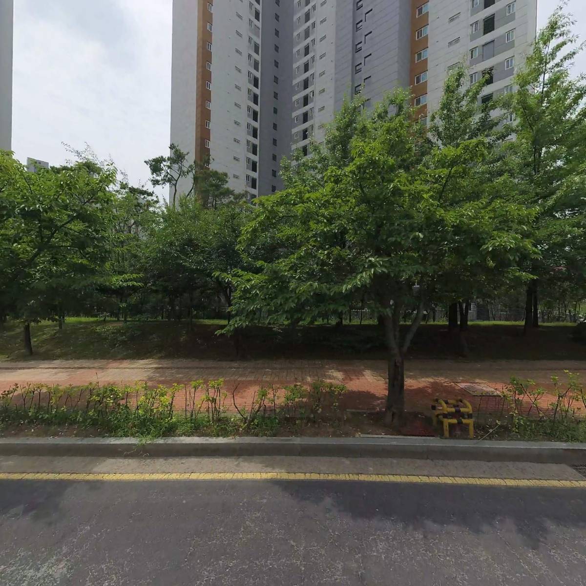 플레리나