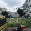 팀오토코리아
