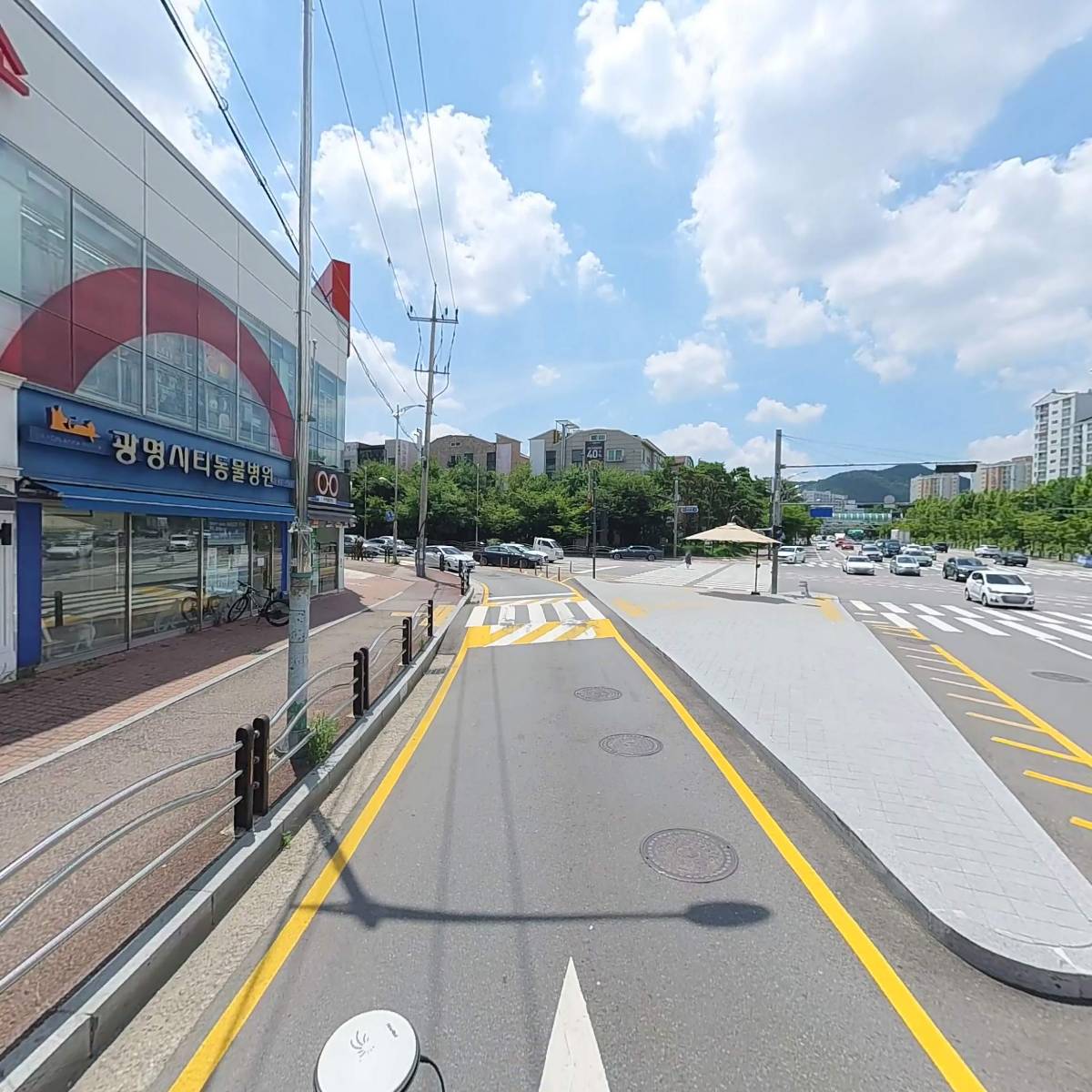 광명시티동물병원_2
