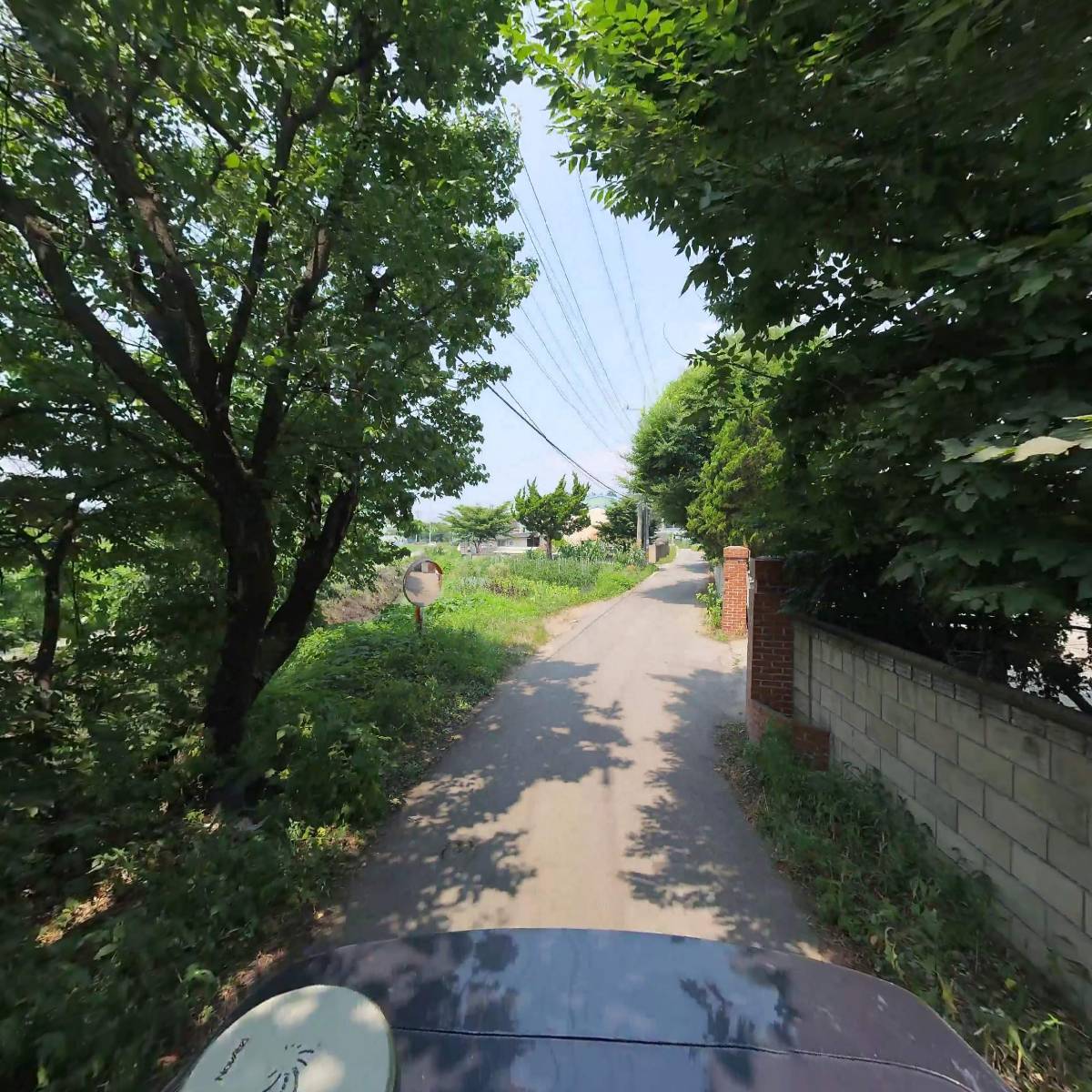 락희제약_2