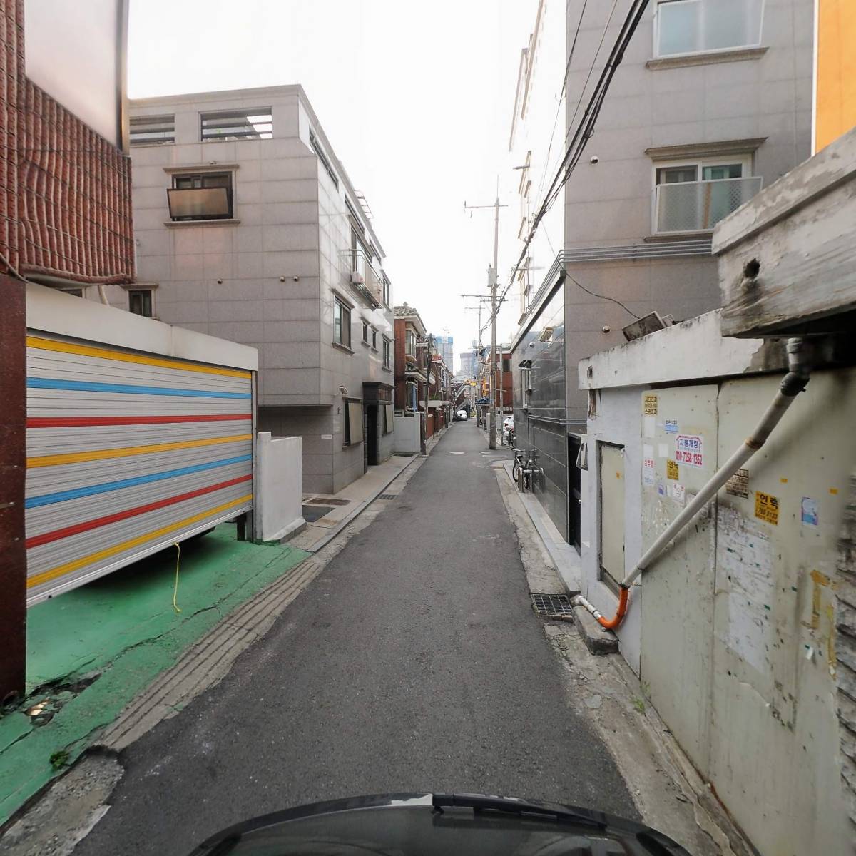 바이오셀텍_2
