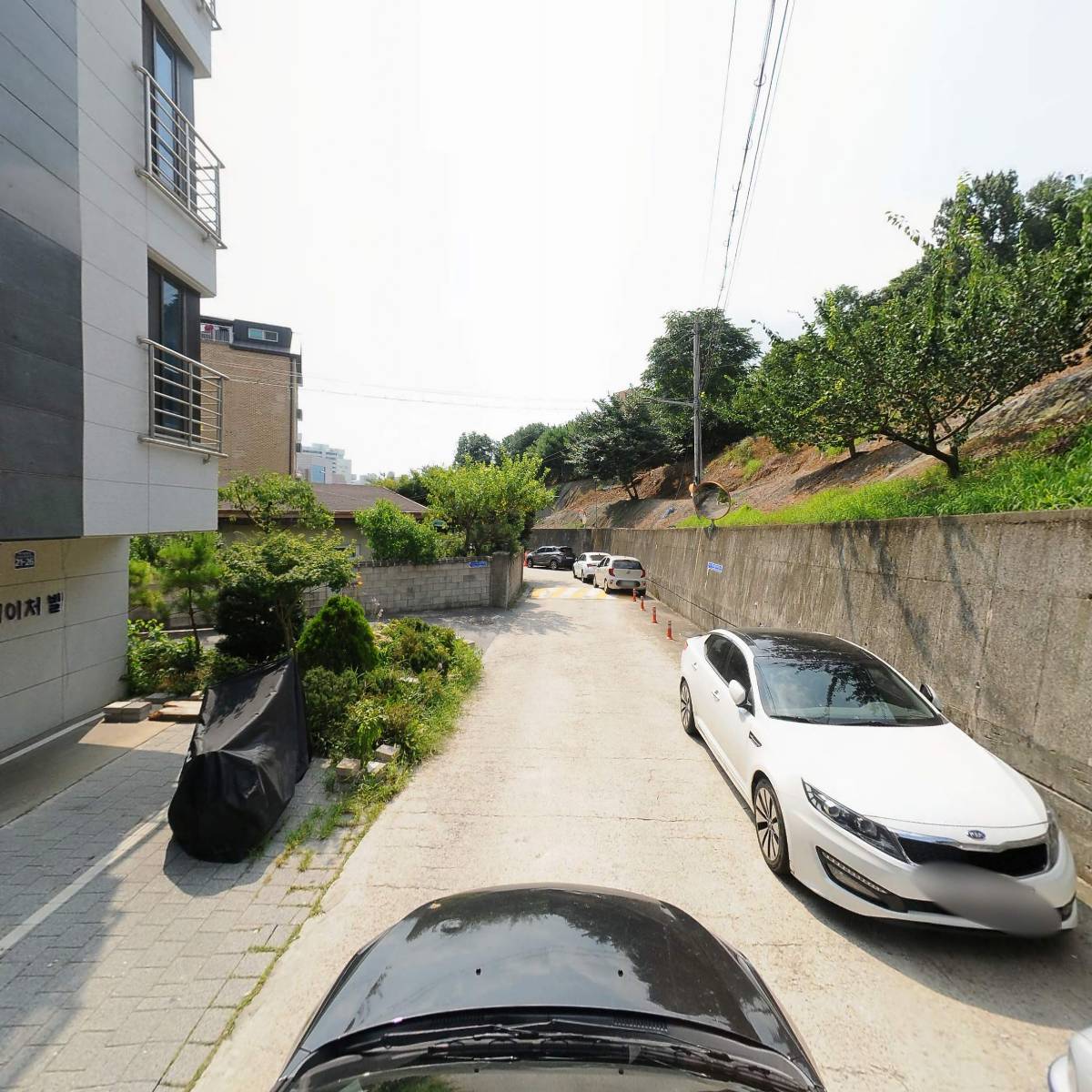 든든하니_4