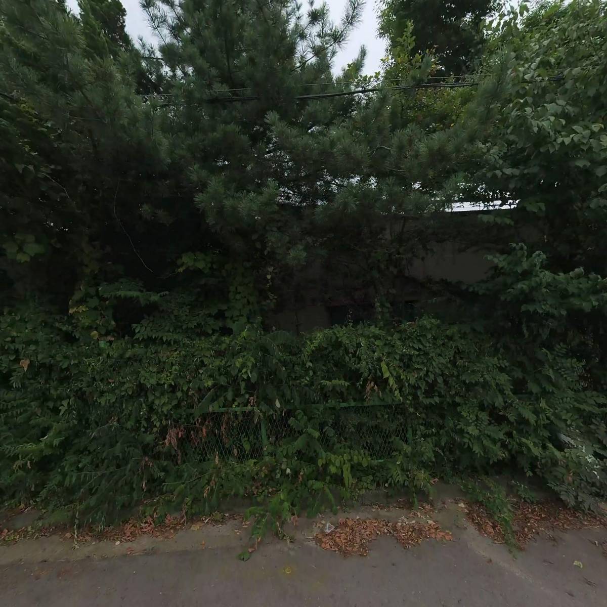 (주)에스씨코리아 통진지점