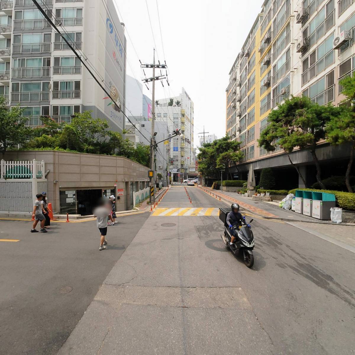숭이네_2