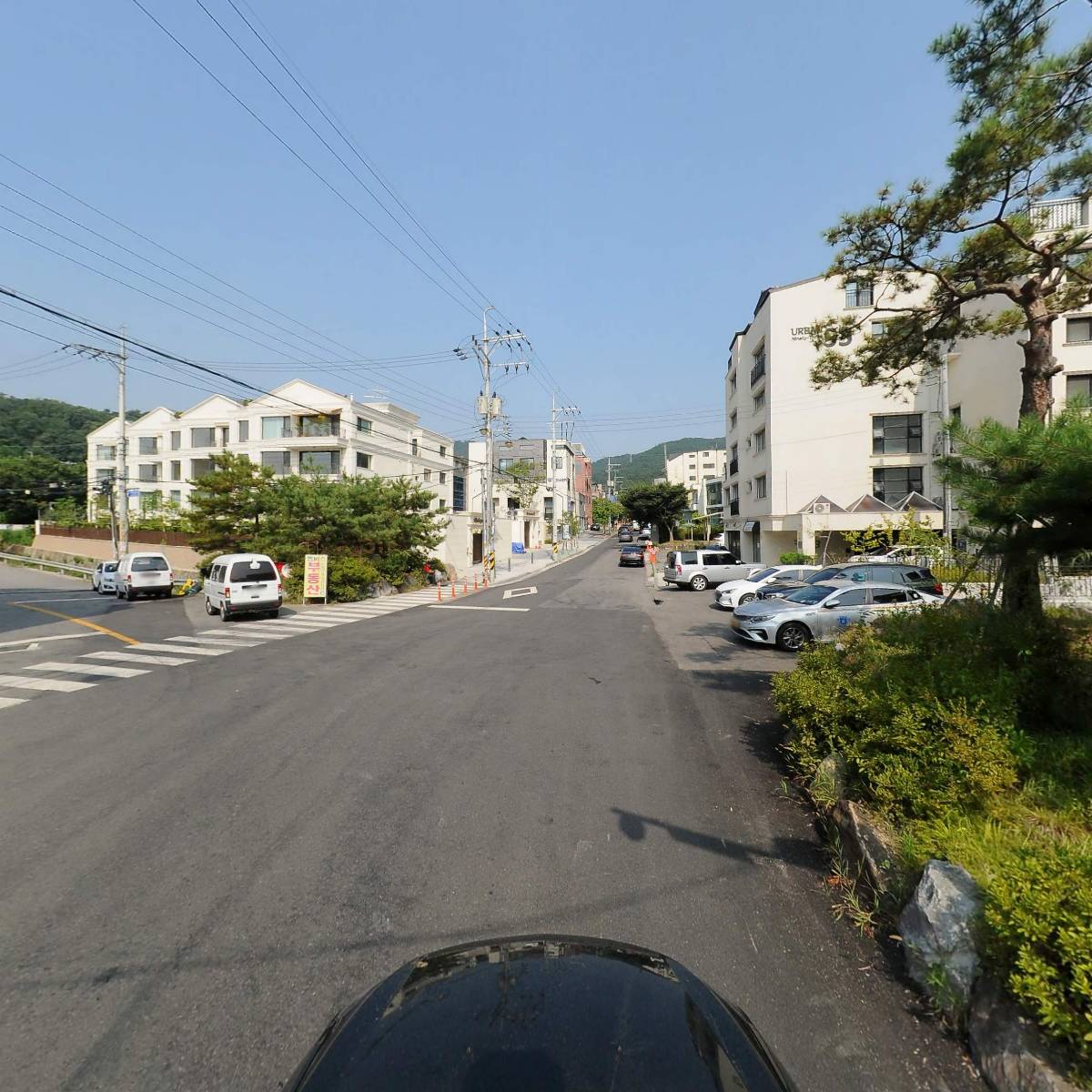 아치울큐엘동물병원_4
