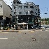 아치울큐엘동물병원_3