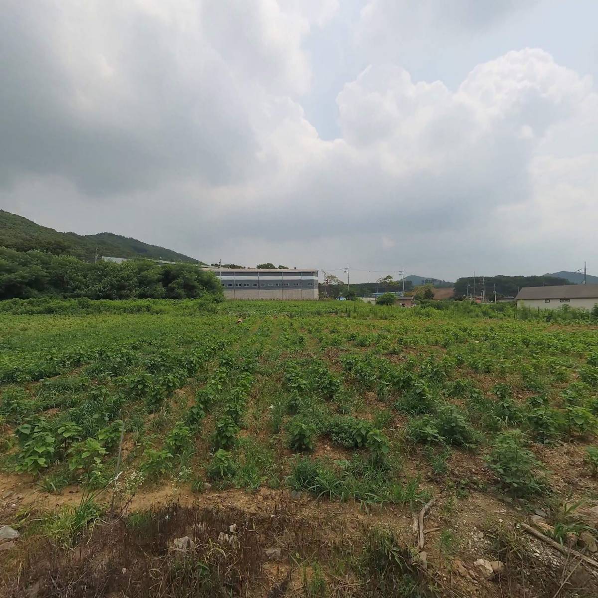 스튜디오 용선장 (STUDIO YONGSUNJANG)_3