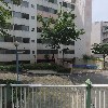 비비드레인