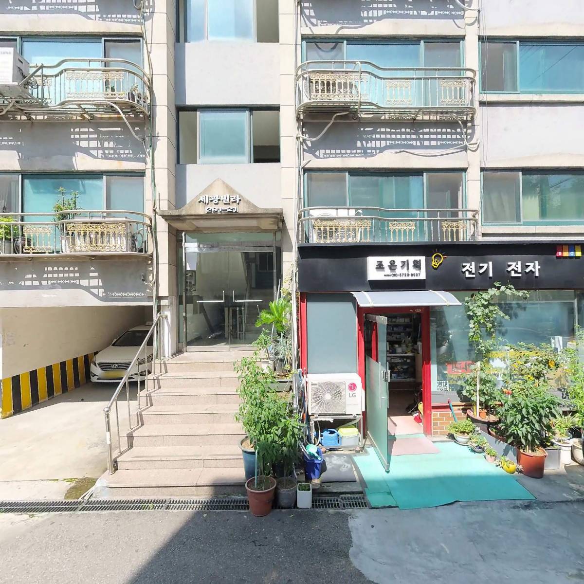 다윗