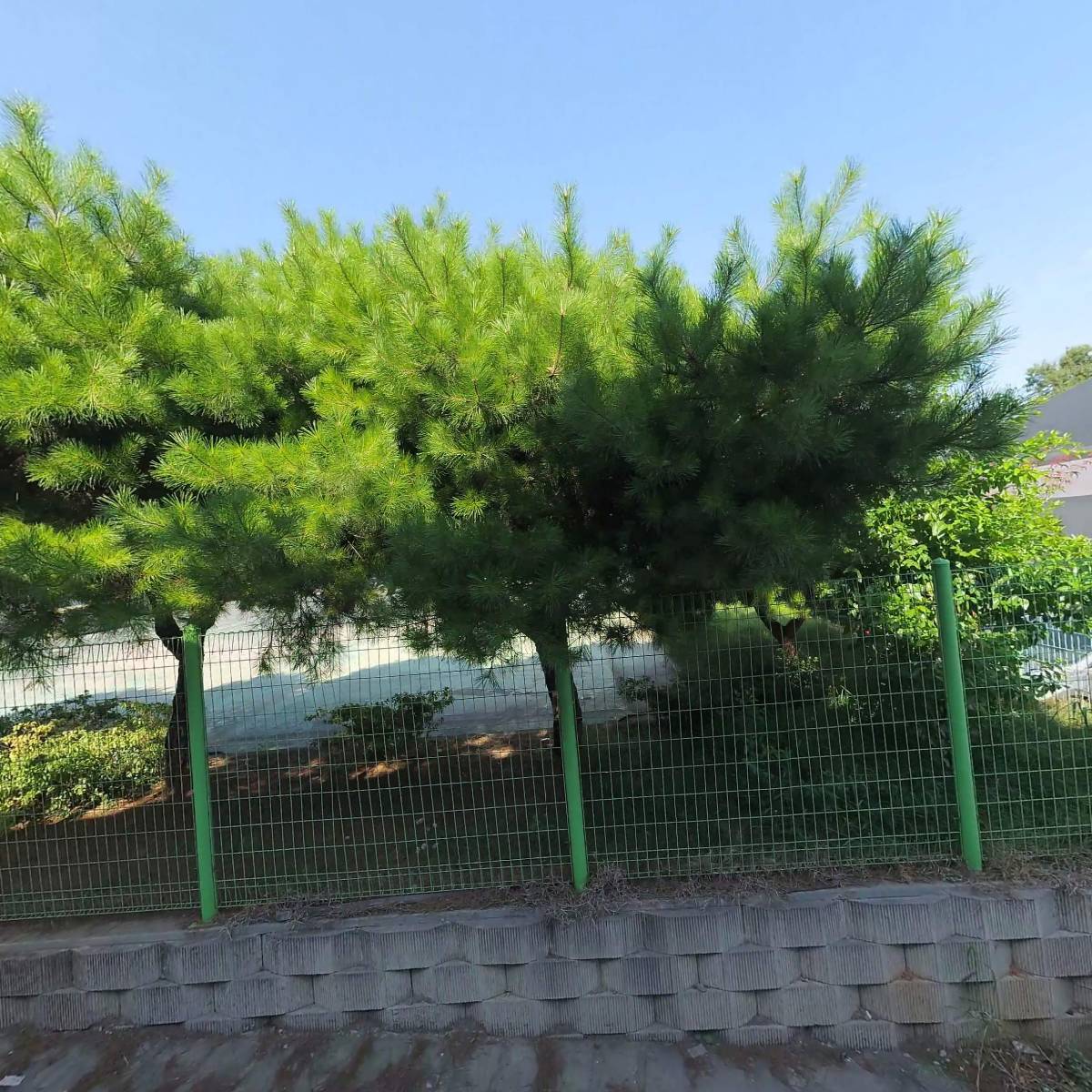 주식회사 세우이앤아이_3
