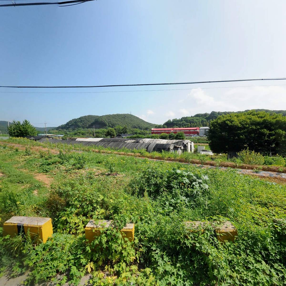조은자리_3
