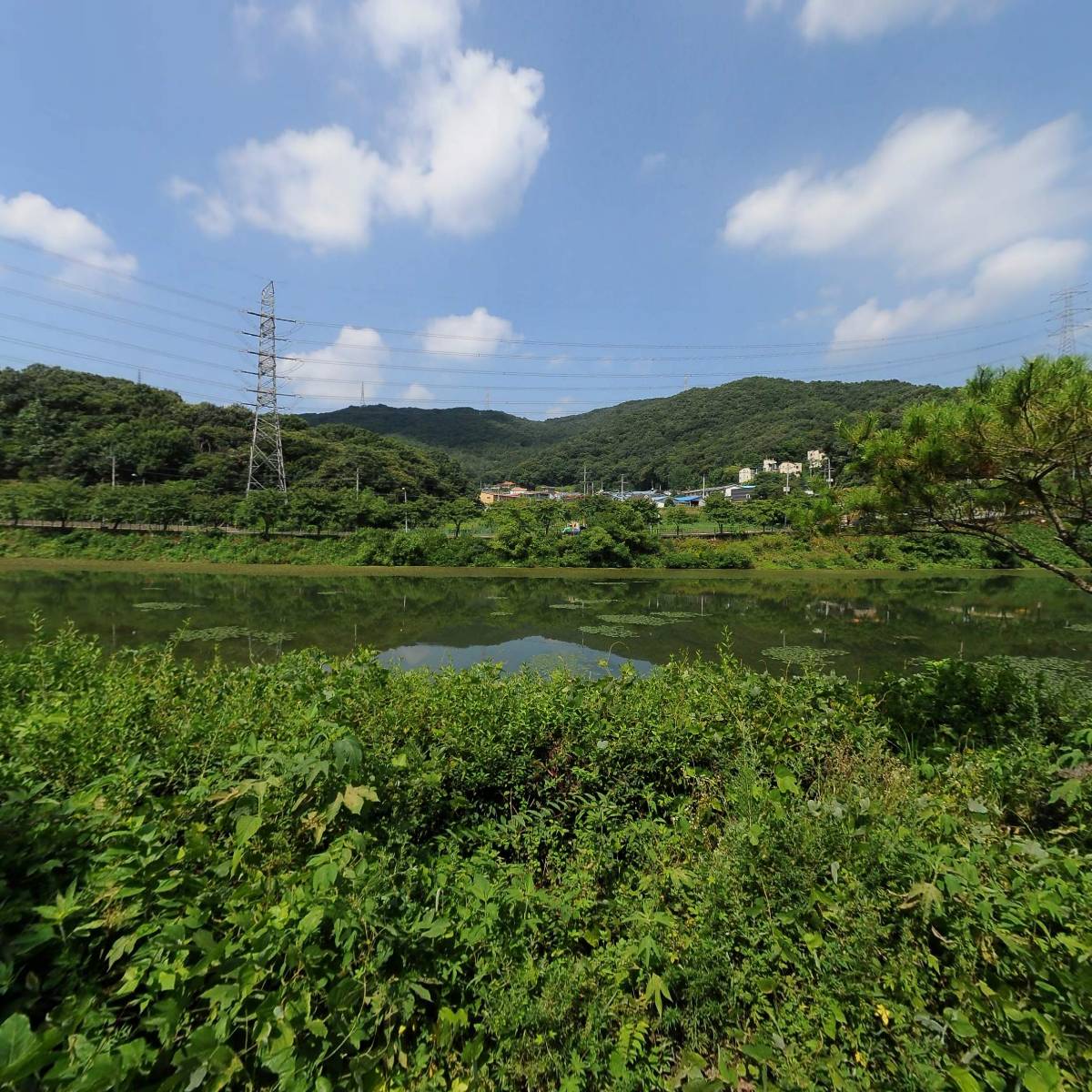지노테크