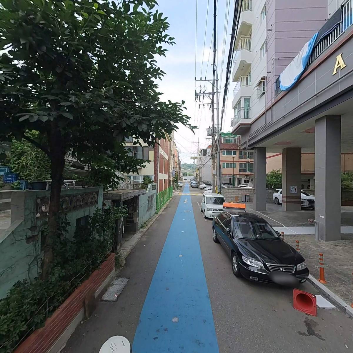 카블리_2