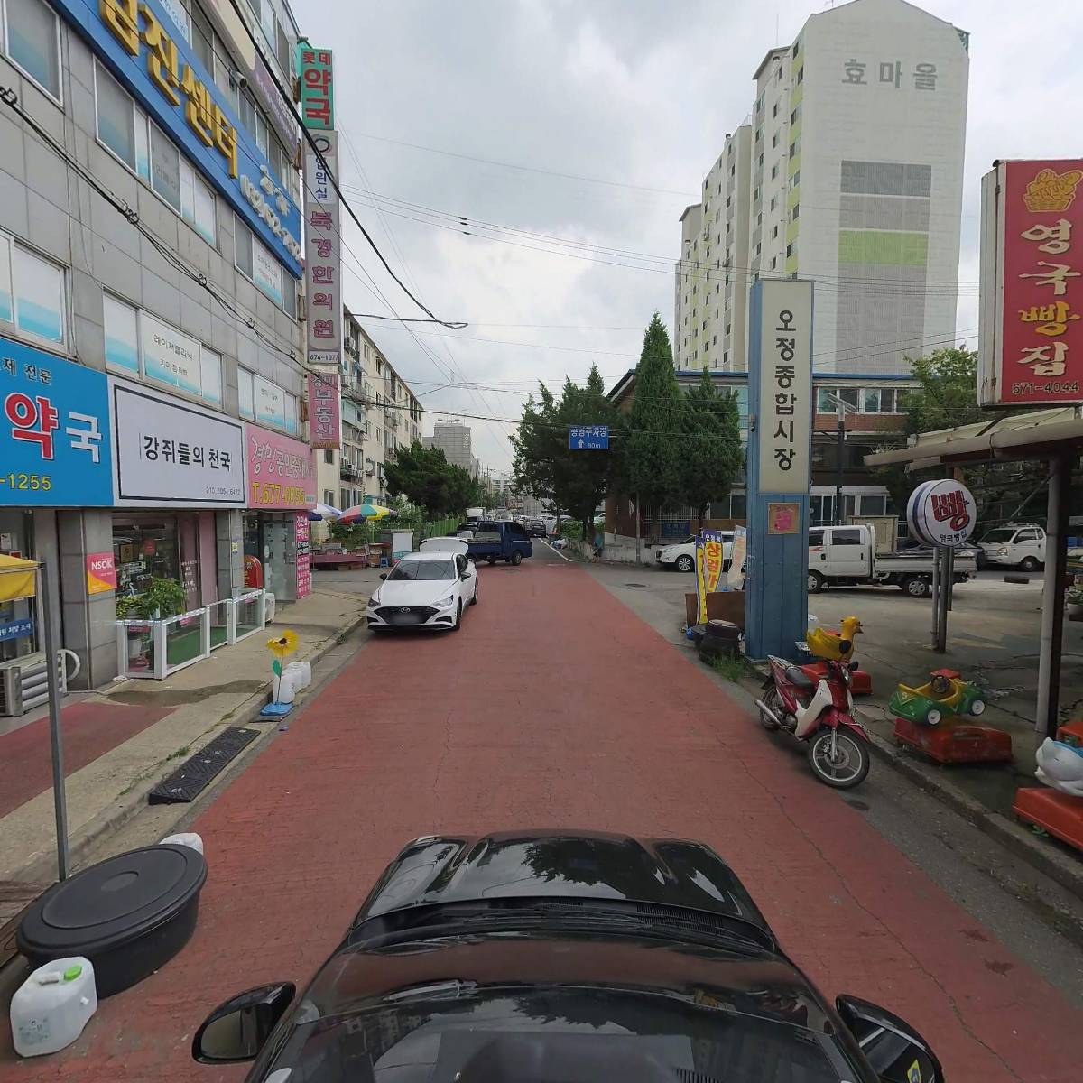 로저 collectible studio_4