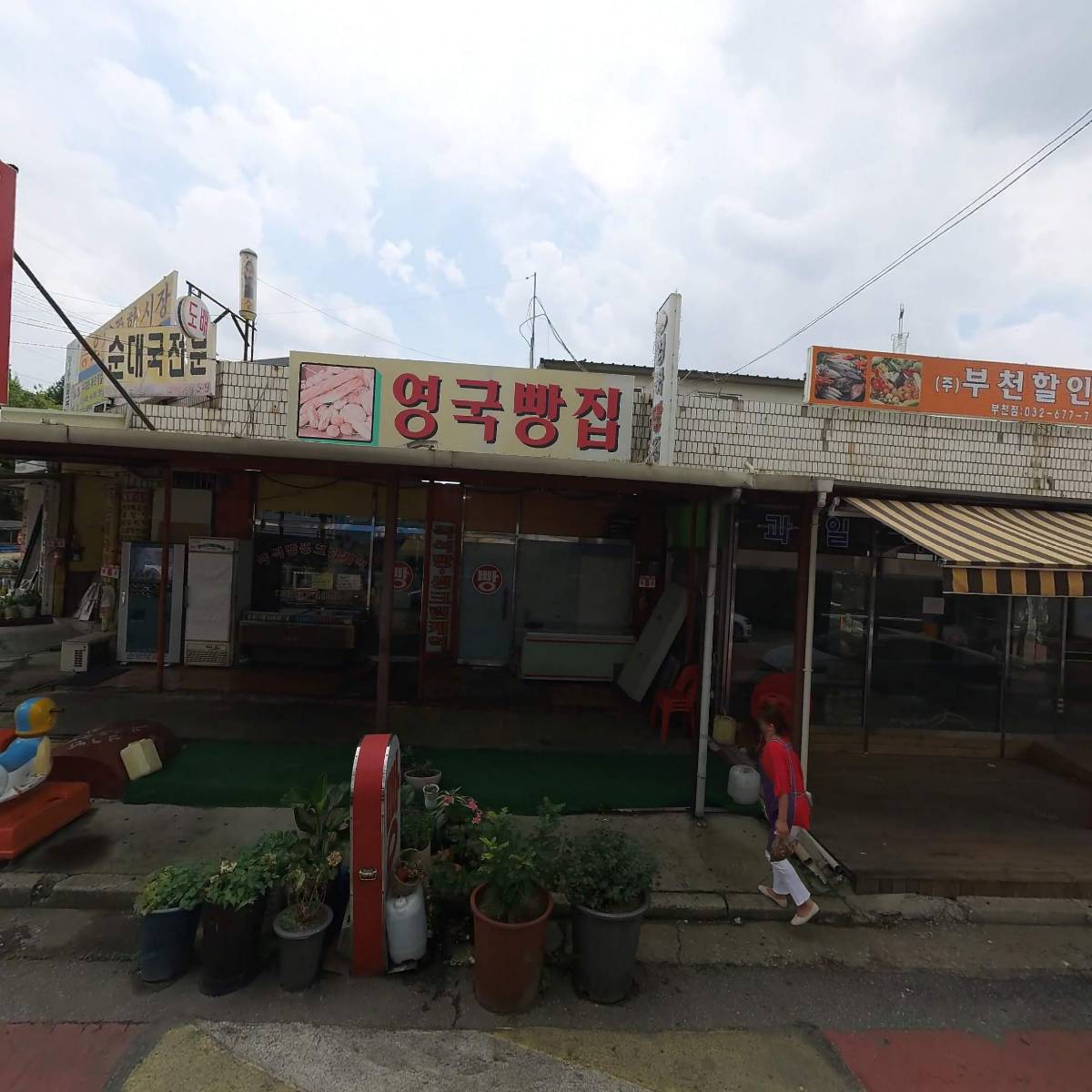 로저 collectible studio