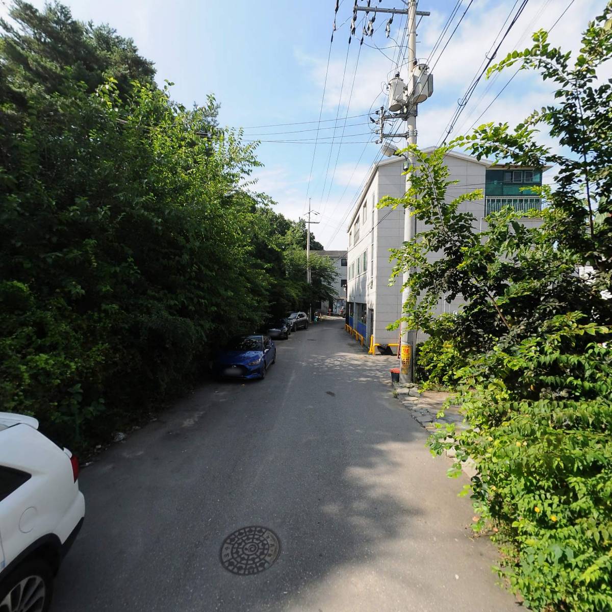 코리아핑크맵(KoreaPinkmap)_2